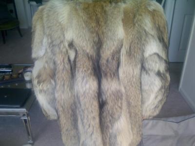 Coyote Fur Coat / Jacket