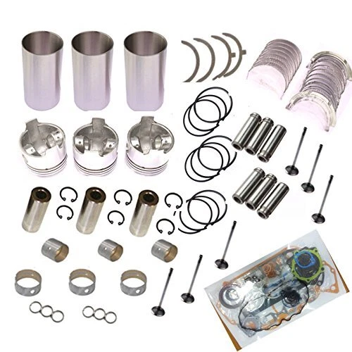 Overhaul Rebuild Kit For Kubota D902 Engine RTV900W9 RTV900 Utility Vehicle