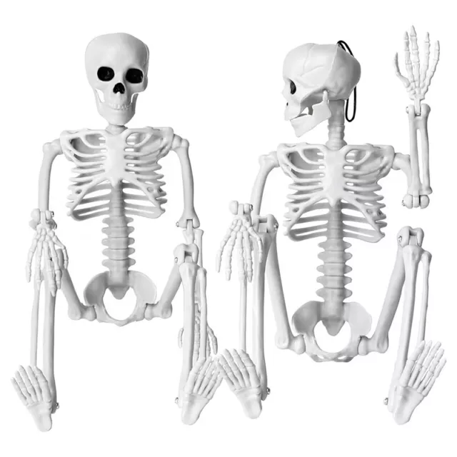 2 ud. Decoración Halloween Esqueleto, 16 Grandes, Todo el Todo el Mundo4167