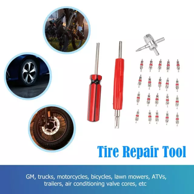 Dual Single Head Valve Core Remover+Schrader Valve Core+4-Way Tire Remover Tool 2