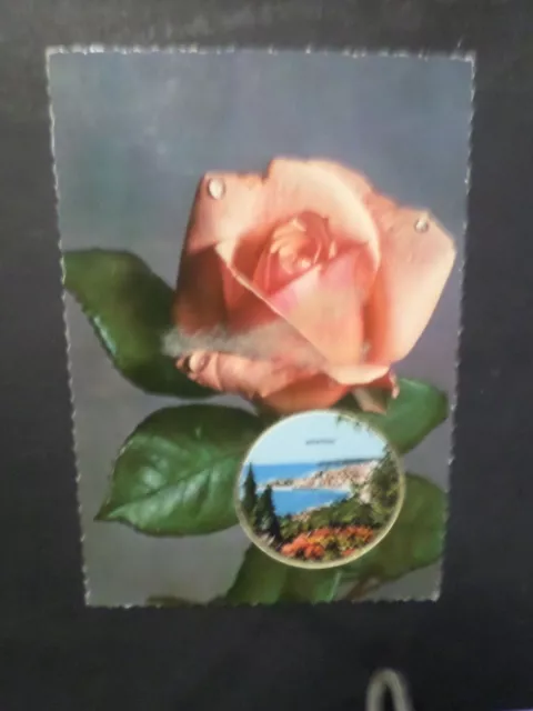 CP Tarjeta Postal Perfume Flores Rosa, Rosa, Foto Menton, VF