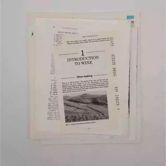 Páginas de libros de comida y bebida, paquete de páginas de libros de cocina, páginas de libros vintage