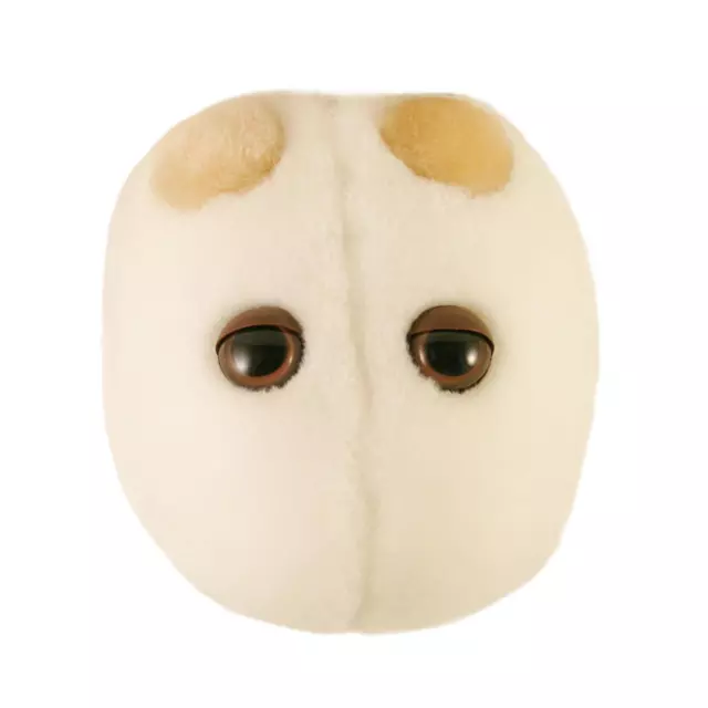 GIANT MICROBES LEVURE Cellule Bread Bi re Peluche Jouet Original
