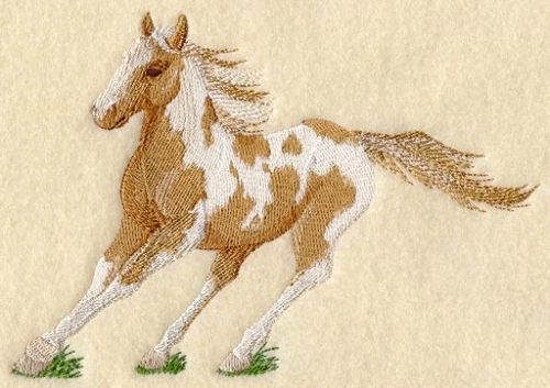 Embroidered Sweatshirt - Paint Horse A9065 Sizes S - XXL