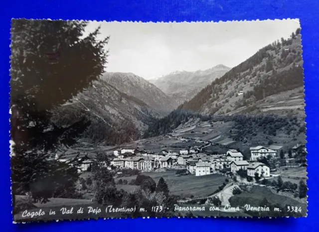 🔵 Cartolina Foto Cogolo In Val Di Peio Case Panorama Con Monte Venezia 1959 🤣