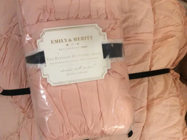 Pottery Barn Teen Emily Meritt Twin Parisian Petticoat Quilt & Sham Light Pink