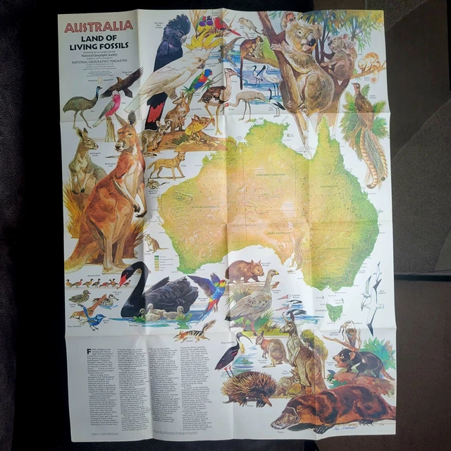 VINTAGE NATIONAL GEOGRAPHIC Australia Map Land of Living Fossils Feb