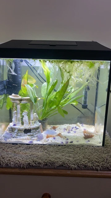 Aquael  Fish Tank