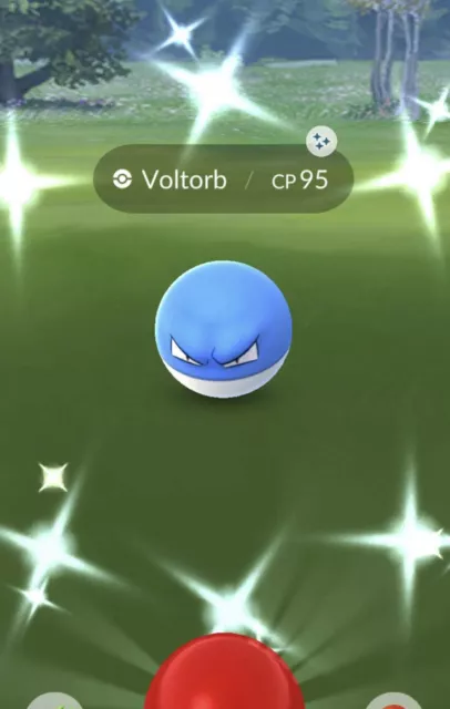 Pokemon Shiny voltorb Registered Only Trade Go