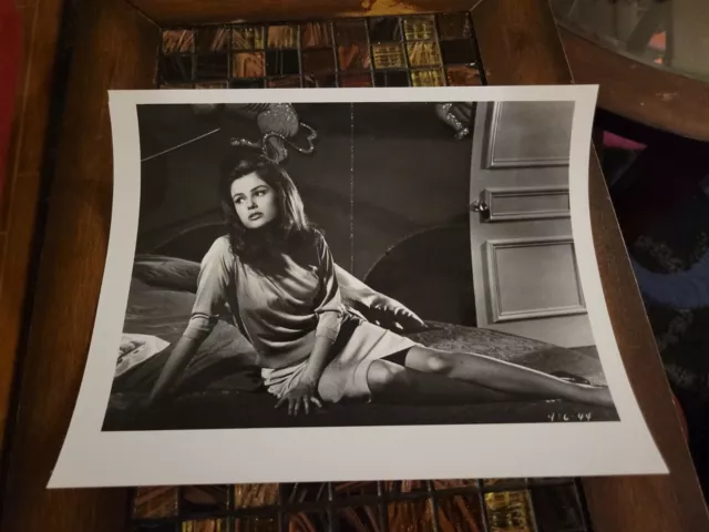 Pamela Tiffin Irving Klaw Archives, Movie Star News Vintage Photo 8x10 1970s #2 Pamela Tiffin Irving Klaw Archives, Movie Star News Vintage Photo 8x10 1970s #2
