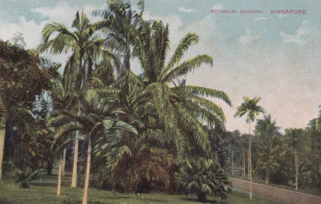 R320232 Botanical Gardens Singapore. Post card