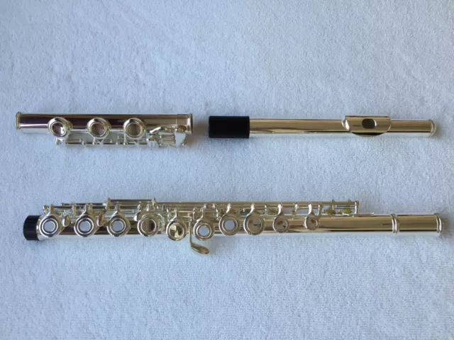 Professional 17 Open Hole Silver Plated Flute E Key B Foot