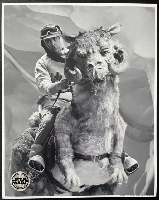 Star Wars Hoth Rebel Soldier On Tauntaun Official Pix Photo 10x8 Photograph