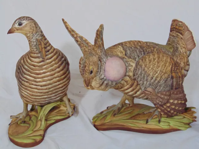 2 Edward BOEHM Porcelain  Lesser Prairie Chickens Limited Edition Birds 464 3