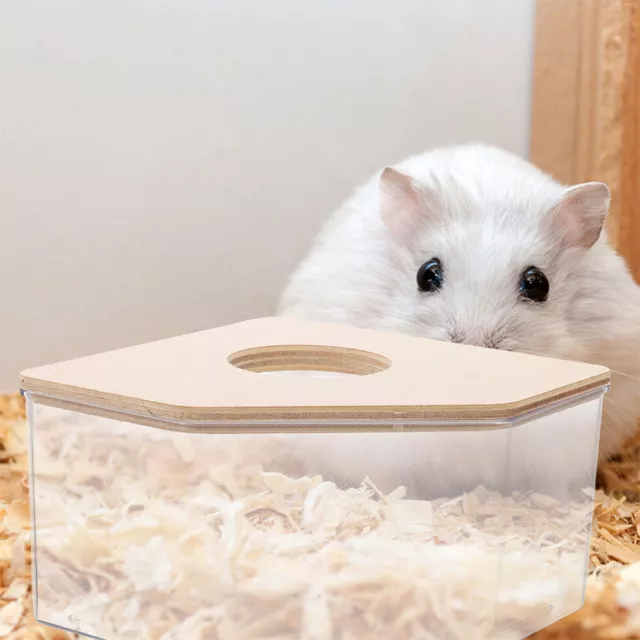 Bac À Sable Pour Hamster En Bois Bain De Récipient Transparent Petit Animal