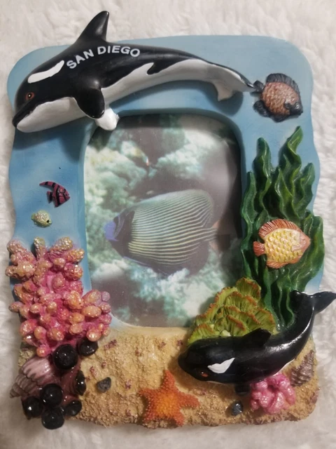 Seaworld Blue Shamu, Orcas, Coral, Tropical fish, 3D Picture San Diego Frame