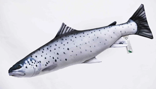 Coussins Poissons | Humour de Pêcheur