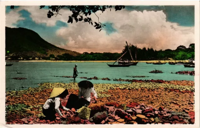 CPA AK INDOCHINA Cap St.Jacques Cueillette des oysters VIETNAM (956988)