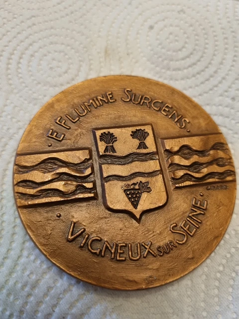 Médaille En Bronze Monnaie De Paris - Guillaume Budé Ville De Yerres (Essonne) - Collection