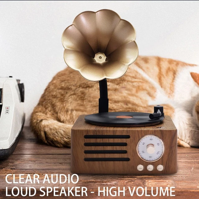 Portable Phonograph Rotary Record Player Morning Glory Sound Bluetooth Speaker