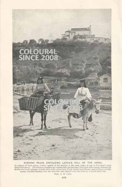 Leiria Hill Of The Angel Portugal Women Donkey C 1920 Photo Illustration Print