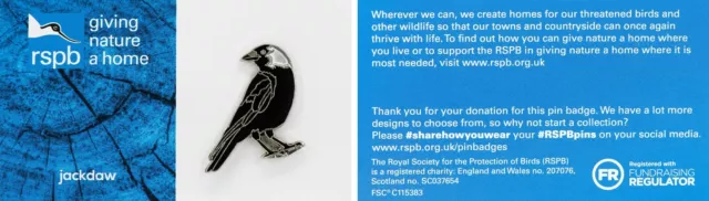 RSPB Pin Badge GNaH Jackdaw on Blue P01514