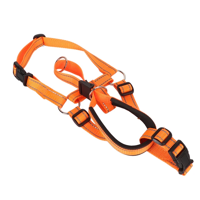 Collare testa cane muso prevenire abbaiare regolabile resistente alla trazione supporto testa cane