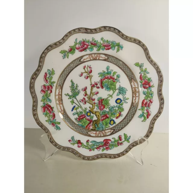 Coalport Indian Tree 8 7/8" Luncheon Plate