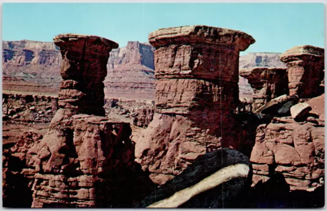 Canyonlands National Park Utah Mushroom Rocks Canyon Scenic USA Vintage Postcard