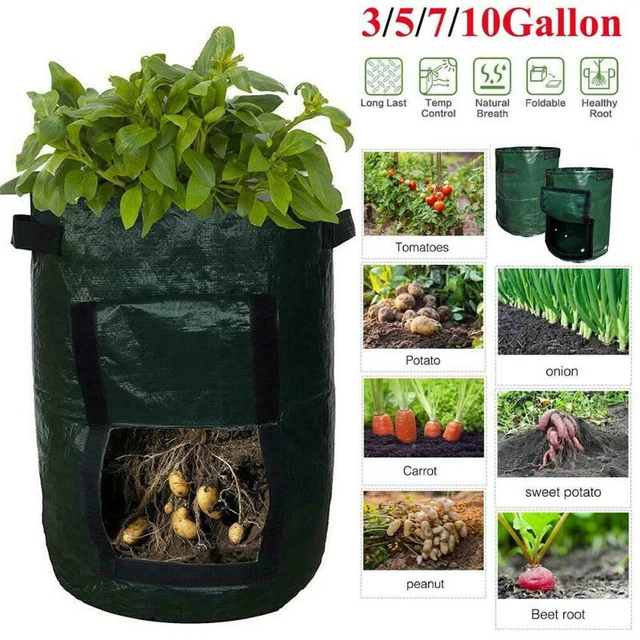 Tomato Bags Potato Veg Durable Re-Usable Balcony Bag10Gallon Grow Patio Planters