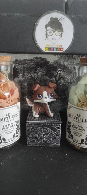 LITTLEST PETSHOP CHIEN BOXER 25 DOG Pet Shop W115 EUR 1,50 - FR