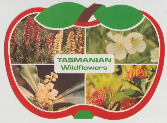 Australia TASMANIA TAS Wildflowers multiviews APPLE SHAPED NCV postcard c1980s