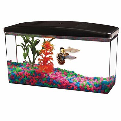 Starter 1/2 Gallon Fish Tank Kit Aquarium Small Desktop Home Office 3