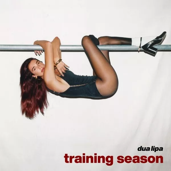 Dua Lipa "Training Season" Art Album Music Poster HD Print Decor 12 16 20 24"