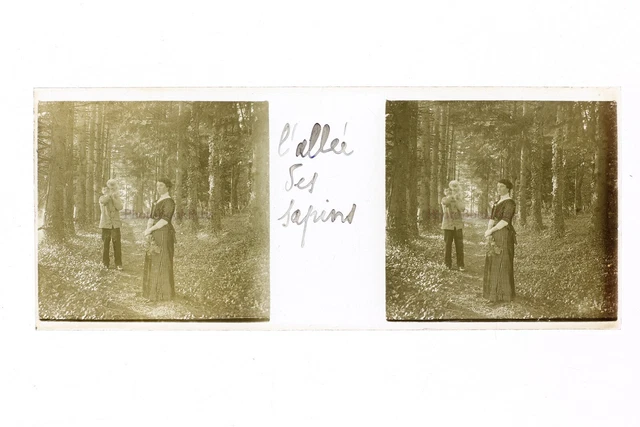 France women's fashion wood photo stereo glass plate Th4L7n2 vintage