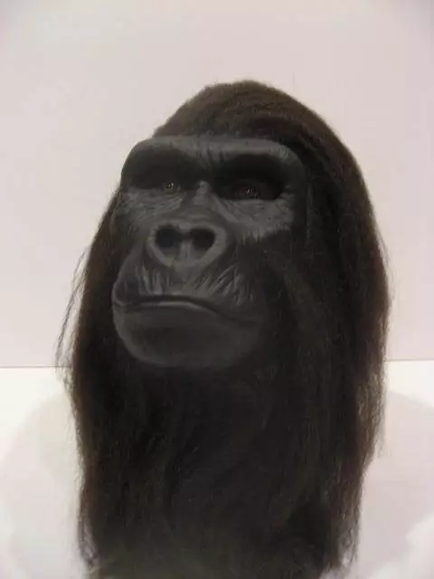 Réplique gorille gorilla planete des singes planet of the apes cinema lifesize