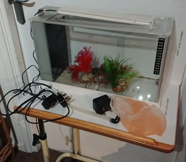 Small Fish Tank with Some Accessories