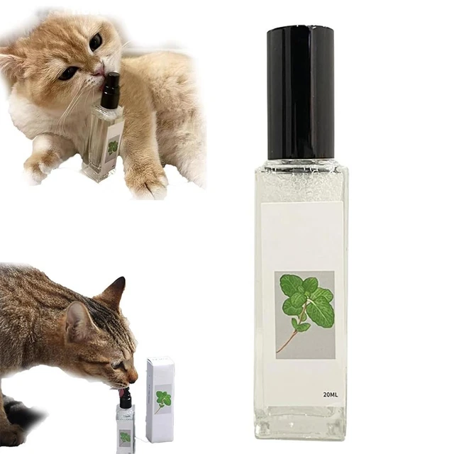 INCREASE APPETITE HERBAL Cat Joy Relax Cat Scratching Spray Mist Herbal