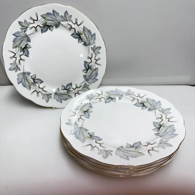 Six Vintage Royal Albert Silver Maple Dinner Plates 10 Inches