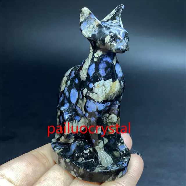 1pc Natural Rhyolite Hairless cat Quartz Crystal Skull Carved Figurines Reiki 3"