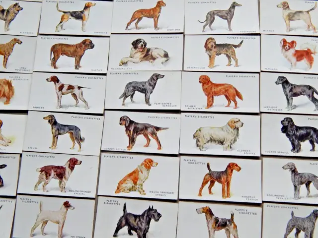 DOGS  by WARDLE (FULL LENGTH)  VINTAGE 1933 JOHN PLAYERS  CIGARETTE CARD SET