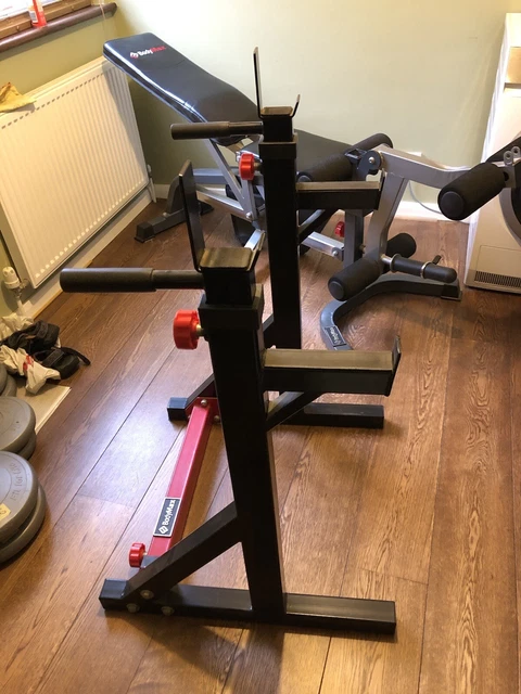 BODYMAX CF315 SQUAT And Dip Stand 50.00 PicClick UK
