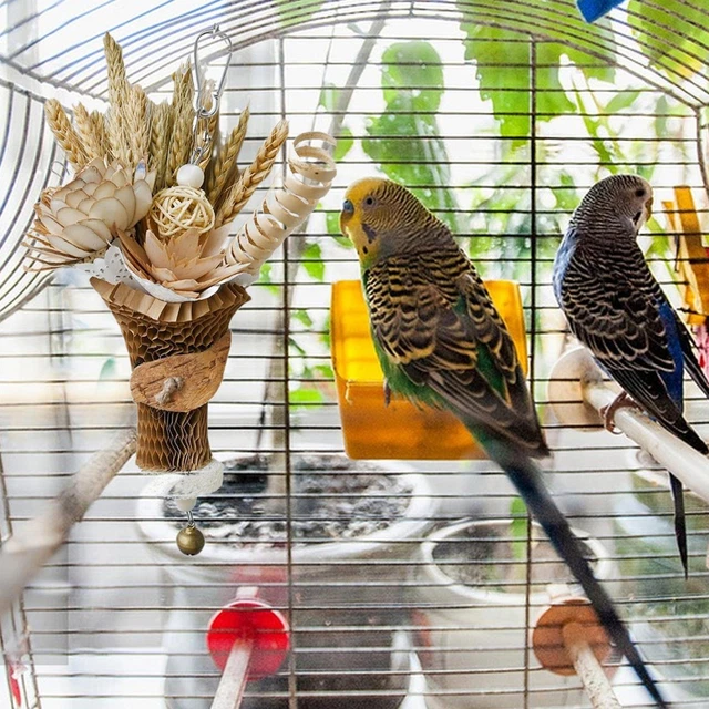 Curated visual reference: Gallery Detail: Bird Parrot Shredding Toys Chewing Foraging Hanging Cage Shredder Bell