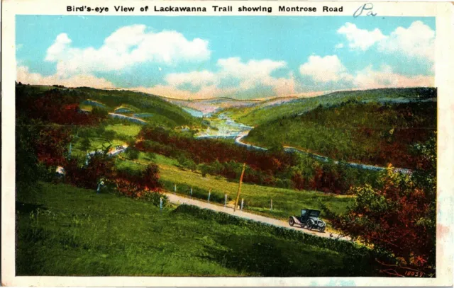Aerial View of Lackawanna Trail Showing Montrose Road PA Vintage Postcard E23