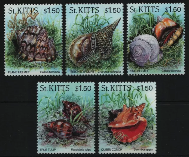 St. Kitts 1996 - Mi-Nr. 415-419 ** - MNH - Meeresschnecken / Marine snails