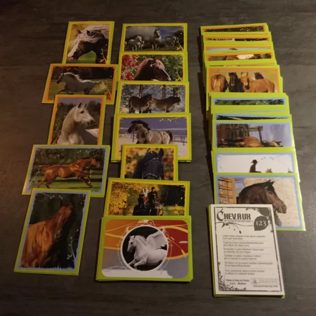 Lot de 8 Images Panini CHEVAUX UN VOYAGE FANTASTIQUE 2008 au choix!