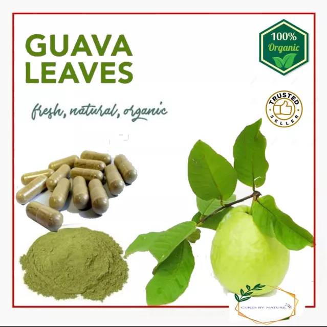 Organic pure Dried Guava leaves/Leaf Powder|Capsules weight loss skin hair loss