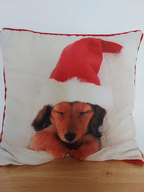Cuscino e copertura Babbo Natale cane!