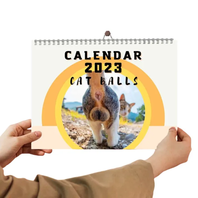 Funny gift - Cats Buttholes Calendar 2023 - Quirky gifts