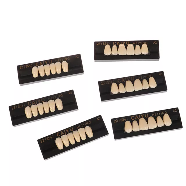 84Pcs/Box Dental Denture Synthetic Resin Teeth False Teeth Upper / Lower Shade_w